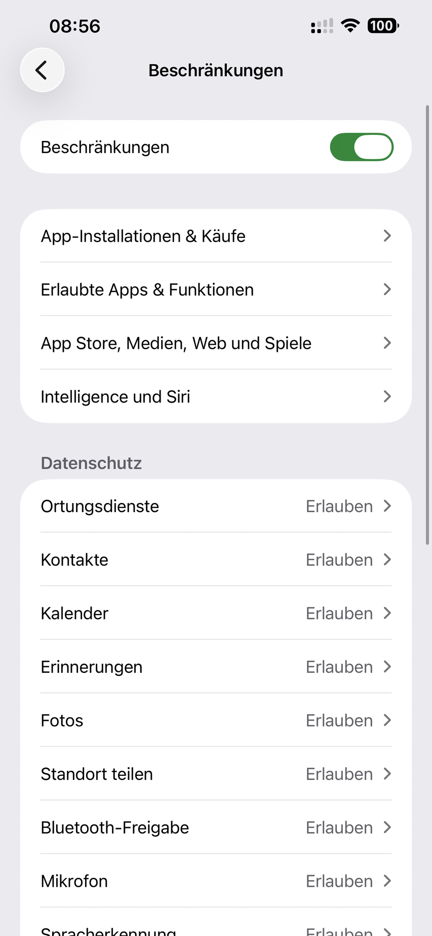 iPhone-Einstellungen Beschränkungen mit App-Installationen und Käufe, Erlaubte Apps und Funktionen, App Store Medien Web und Spiele sowie Datenschutz