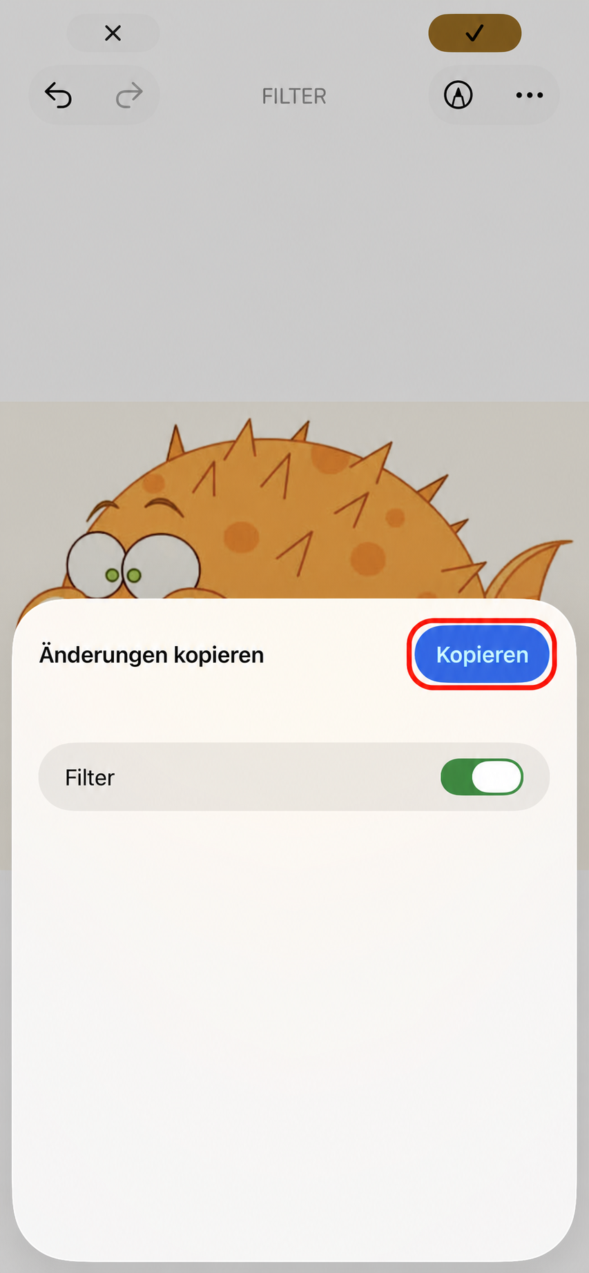 Änderungen eines bearbeiteten iPhone-Fotos kopieren