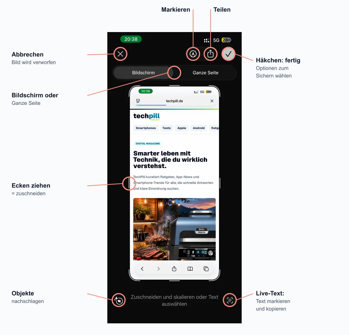 Beschriftete Vollbildvorschau eines Bildschirmfotos unter iOS 26: oben links Abbrechen, oben rechts Markieren, Teilen und das Häkchen, darunter die Umschaltung Bildschirm oder Ganze Seite, am Rand die Anfasser zum Zuschneiden, unten links Objekte nachschlagen und unten rechts Live-Text